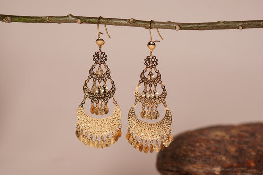 Brass gold polish Earrings  H1-065